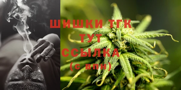 гашик Балахна
