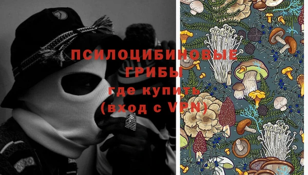 соль ск Балабаново