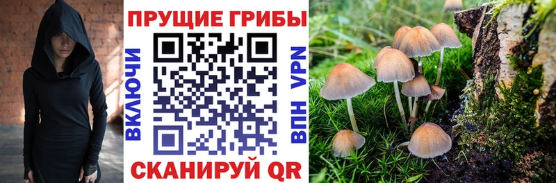 KRAKEN   Красный Холм  Галлюциногенные грибы ЛСД  где можно купить наркотик 