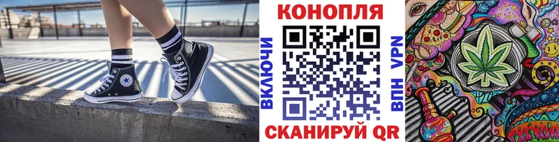 Конопля сатива  блэк спрут маркетплейс  Красный Холм 